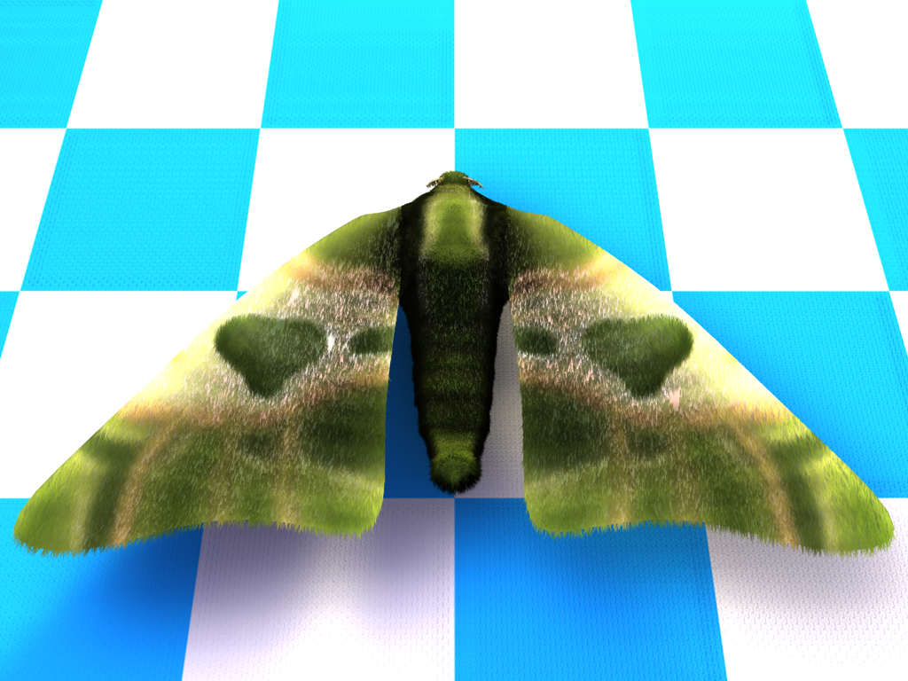 Moth3